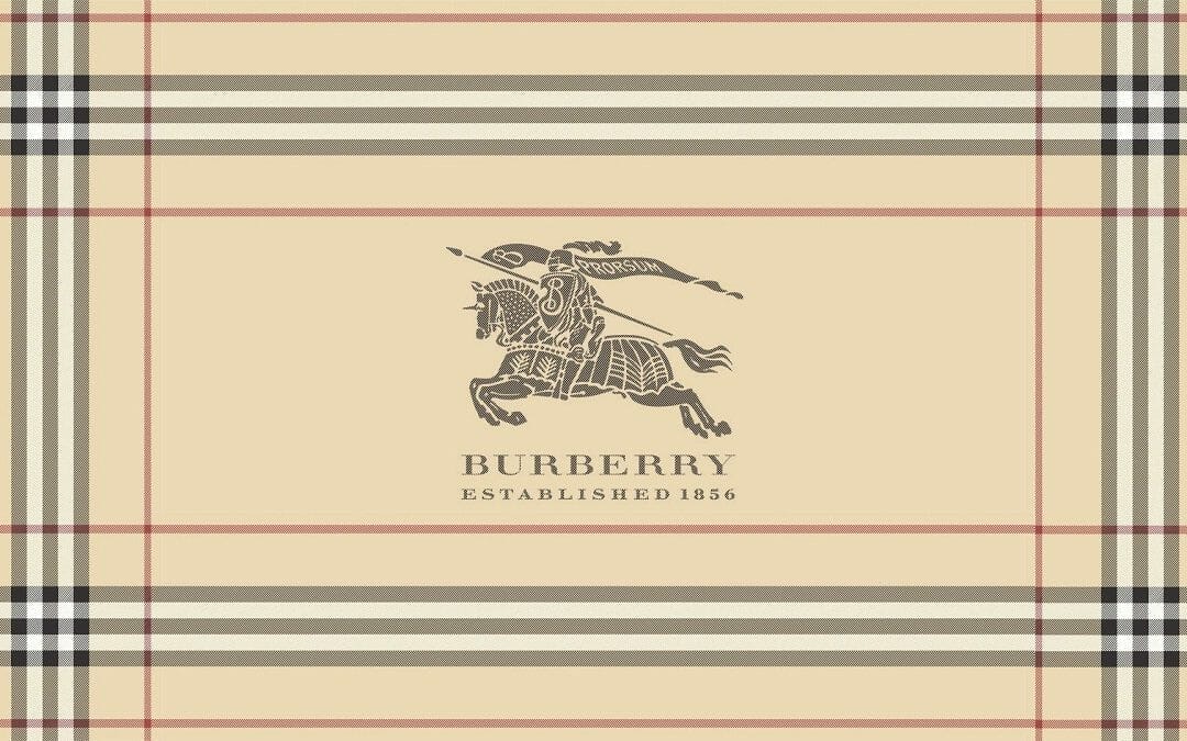 Burberry SBTi Damalion Independent consulting firm