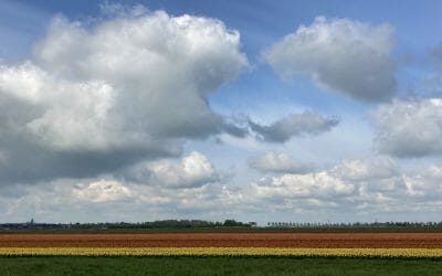 43 milijonov naložb za izboljšanje kakovosti vode na kmetijskih območjih Južne Holandije